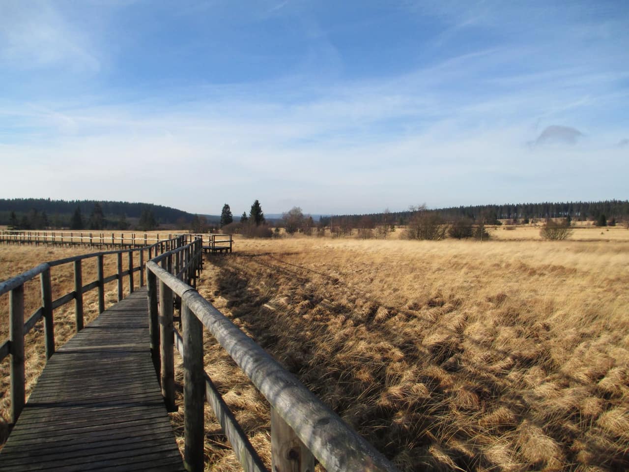 Wandelvakantie in de Belgische Hoge Venen