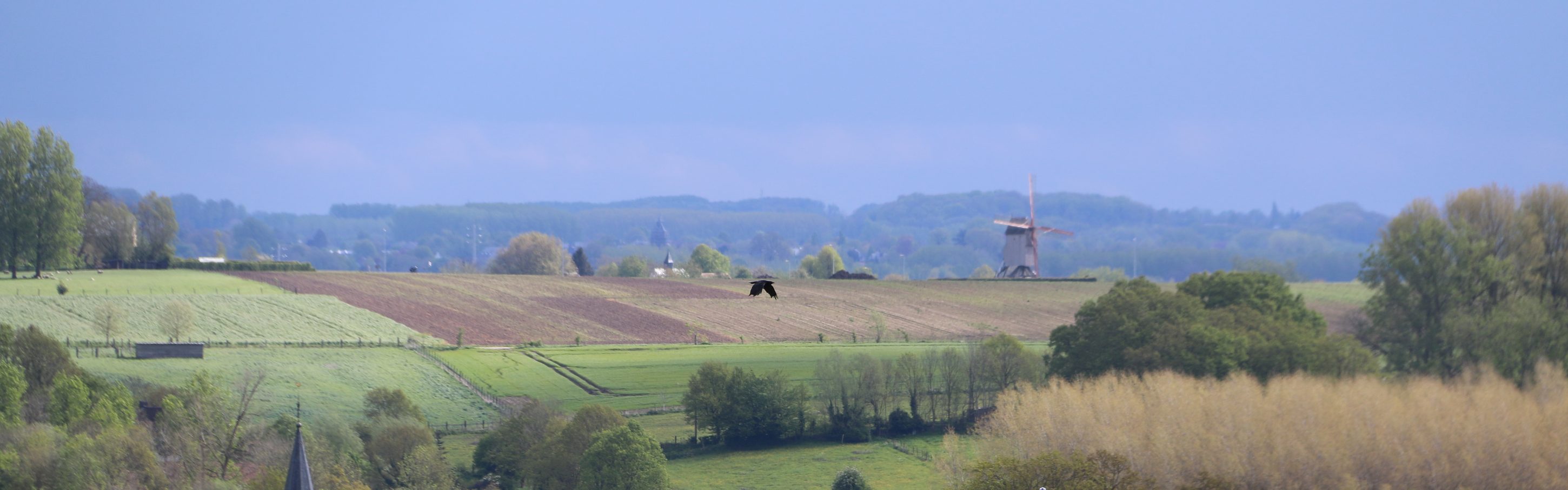 Vlaamse Ardennen, België